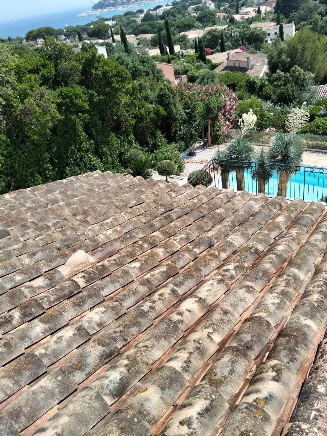 Toiture couverte de mousse et lichens avant démoussage, villa avec piscine dans le Var